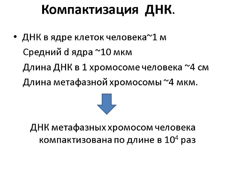 Компактизация  ДНК. ДНК в ядре клеток человека~1 м     Cредний